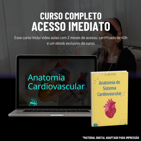 Anatomia Cardiovascular - Image 2