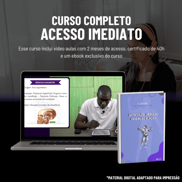 Músculos: Origem, Inserção e Ação - Image 2