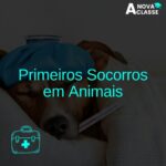 Primeiros Socorros em Animais