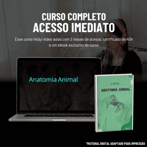 Anatomia Animal - Image 2