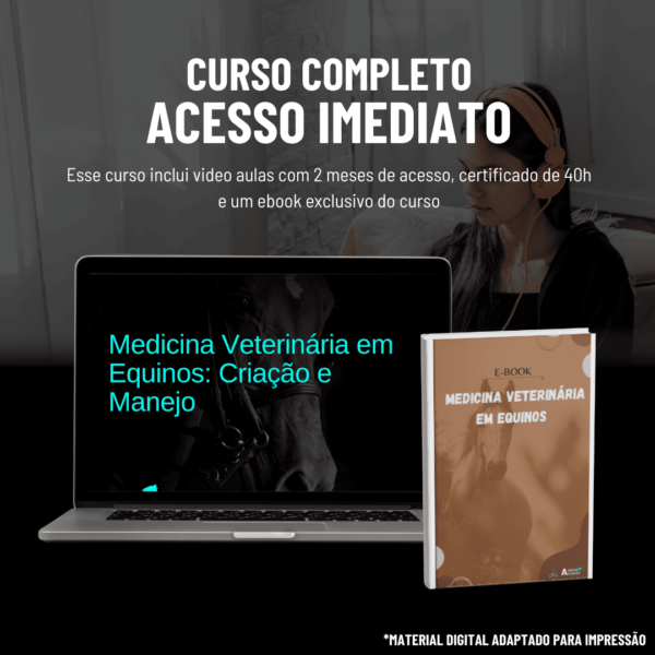 Medicina Veterinária em Equinos: Criação e Manejo - Image 2