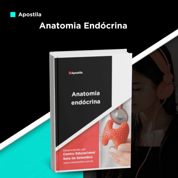 Apostila de Anatomia Endócrina