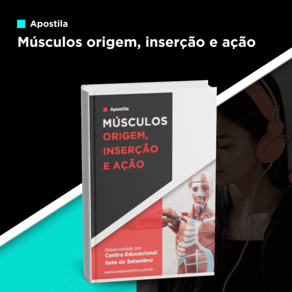 Apostila: Músculos origem, inserção e ação