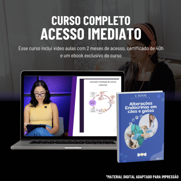 Alterações Endócrinas em Cães e Gatos - Image 2