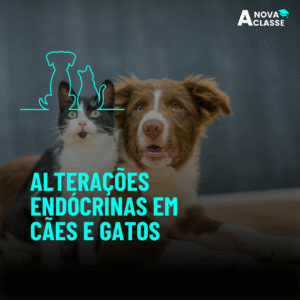 Alterações Endócrinas em Cães e Gatos
