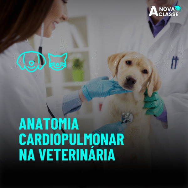 Anatomia Cardiopulmonar na Veterinária