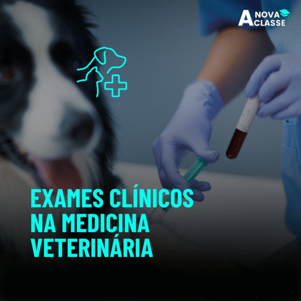 Exames Clínicos na Medicina Veterinária