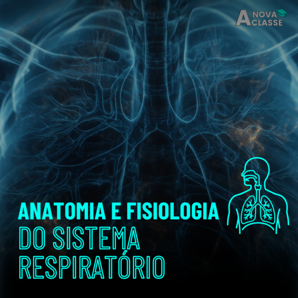 Anatomia e Fisiologia do Sistema Respiratório