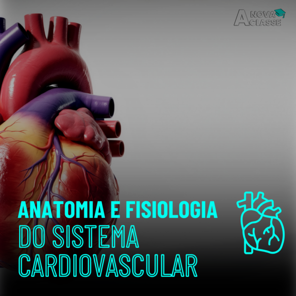 Anatomia e Fisiologia do Sistema Cardiovascular